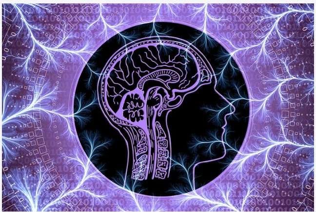 F.A.I.R.  i PEAT online psihoterapija